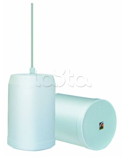 Громкоговоритель встраиваемый ROXTON SP-20T в Тюмени Система оповещения и трансляции Roxton Pintop.ru