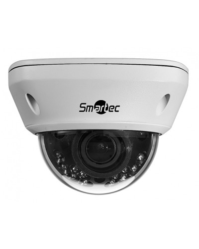 IP-камера видеонаблюдения купольная Smartec STC-IPM5591/1 в Тюмени IP-камеры Pintop.ru