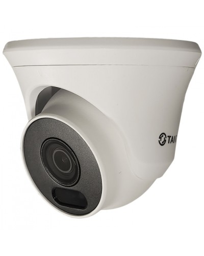 Видеокамера в купольном исполнении уличная Tantos TSc-Ee2FN в Тюмени Системы видеонаблюдения Pintop.ru