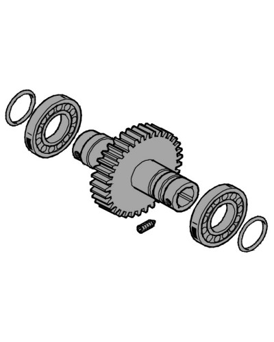 Вал выходной EMEGA Came 119RIE062 в Тюмени Запчасти для шлагбаумов и автоматики Pintop.ru