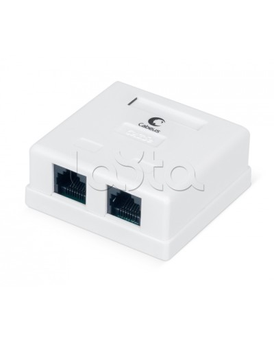 Розетка компьютерная RJ-45, категория 5e, двойная, внешняя, Dual IDC Cabeus WS-8P8C-Cat.5e-2 в Тюмени Розетки компьютерные и телефонные Pintop.ru