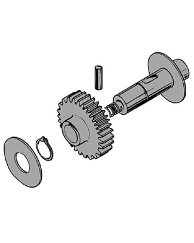 Вал в сборе C100 Came 119RIC011 в Тюмени Запчасти для шлагбаумов и автоматики Pintop.ru