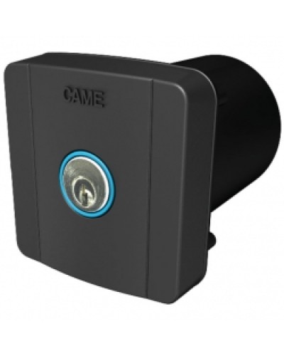 Ключ-выключатель встраиваемый Came 806SL-0020 в Тюмени Запчасти для шлагбаумов и автоматики Pintop.ru