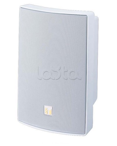 Громкоговоритель универсальный двухполосный TOA BS-1030W в Тюмени Системы оповещения и трансляции TOA Pintop.ru