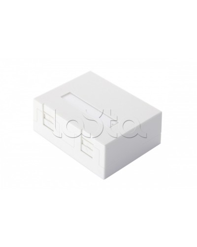 Настенная коробка 2-портовая со шторками, белый Eurolan (12B-04-02WT-2) в Тюмени Розетки компьютерные и телефонные Pintop.ru