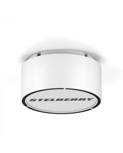 Громкоговоритель STELBERRY F-306W в Тюмени Акустические системы Pintop.ru