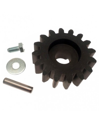 Шестерня ведущая BZ Came 119RIBZ005 в Тюмени Запчасти для шлагбаумов и автоматики Pintop.ru