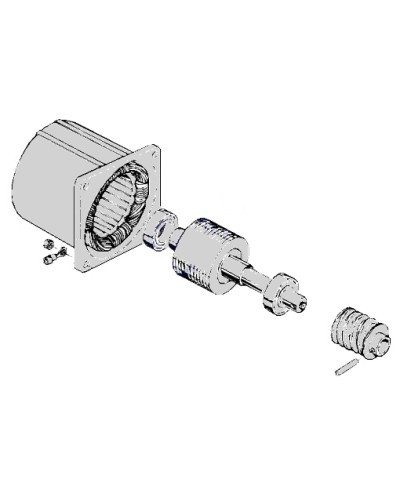 Электродвигатель С-100 Came 119RIC052 в Тюмени Запчасти для шлагбаумов и автоматики Pintop.ru
