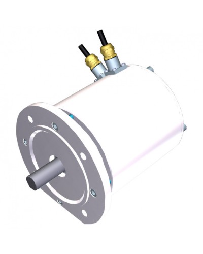 Электродвигатель FROG-MS Came 119RIA081 в Тюмени Запчасти для шлагбаумов и автоматики Pintop.ru