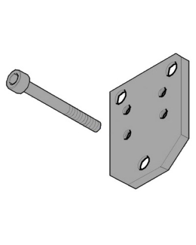 Пластина монтажная FLEX Came 119RID143 в Тюмени Запчасти для шлагбаумов и автоматики Pintop.ru