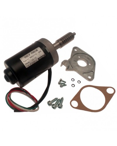 Электродвигатель BX-243 в сборе Came 119RIBX046 в Тюмени Запчасти для шлагбаумов и автоматики Pintop.ru