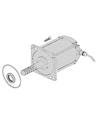 Электродвигатель Came 119RIA025 в Тюмени Запчасти для шлагбаумов и автоматики Pintop.ru