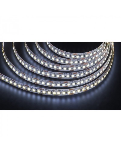 Лента светодиодная Navigator 14 455 NLS-2835CW168-16-IP20-12V в Тюмени Источники света(Лампы) Pintop.ru